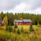 Den rødmalte DNT-hytta på Østtorp og skogen bak i høstfarger. Foto.