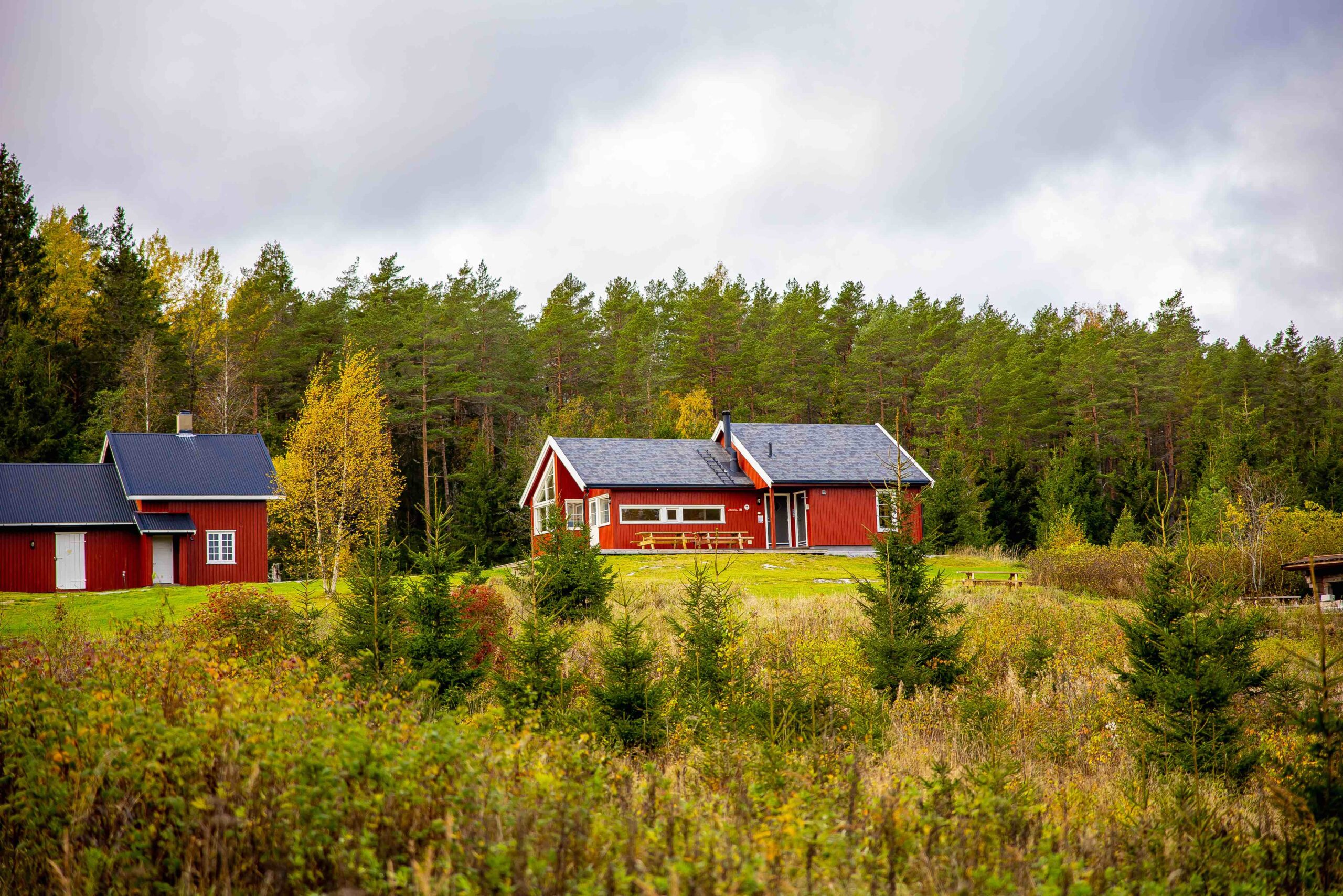 Den rødmalte DNT-hytta på Østtorp og skogen bak i høstfarger. Foto.